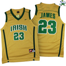 LeBron James Fighting Irish High School #23 Gold Jersey