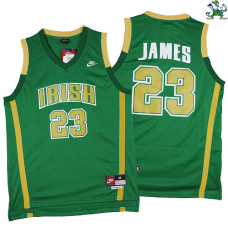 LeBron James Fighting Irish High School #23 Green Jersey